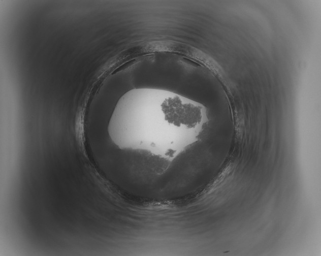 X0000101950386200807251139