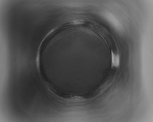 X0000101950387200807251139