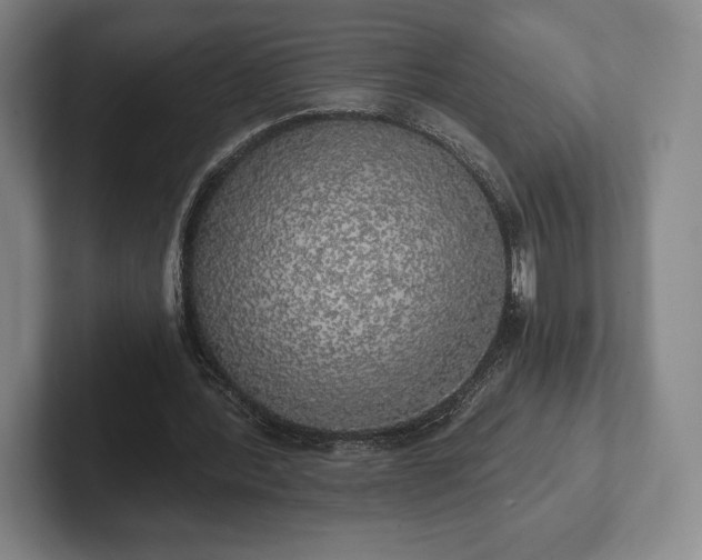 X0000101950388200807251139