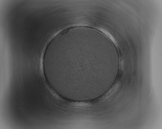 X0000101950389200807251139