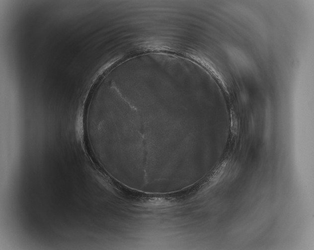 X0000101950390200807251139