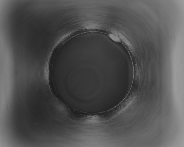 X0000101950391200807251139