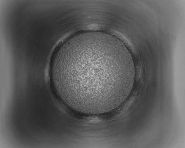 X0000101950392200807251139