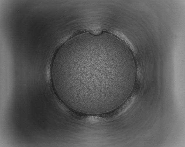 X0000101950393200807251139