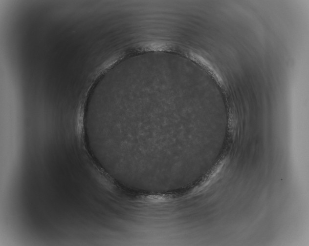 X0000101950394200807251139