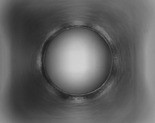 X0000101950395200807251139