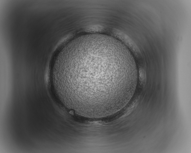 X0000101950396200807251139