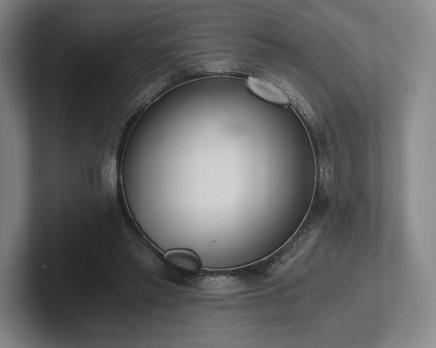 X0000101950397200807251139