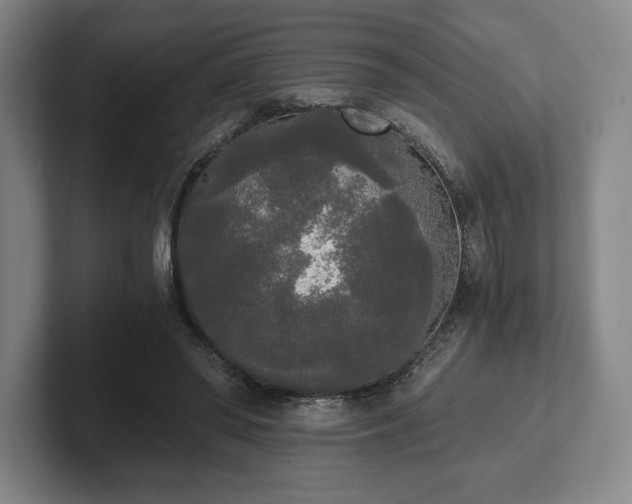 X0000101950398200807251139