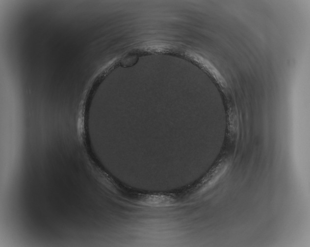 X0000101950399200807251139