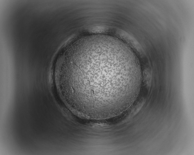 X0000101950400200807251139