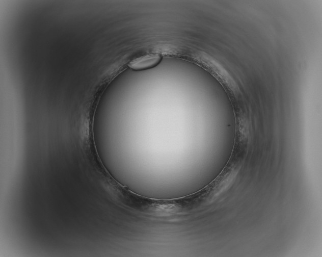 X0000101950401200807251138