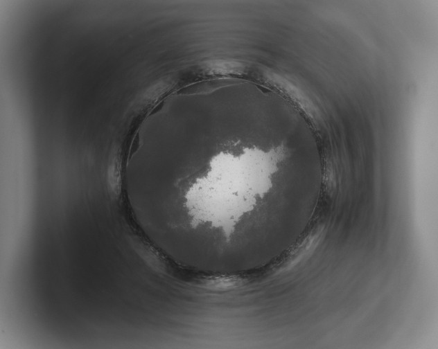 X0000101950402200807251138