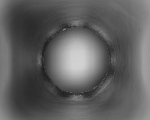 X0000101950403200807251138