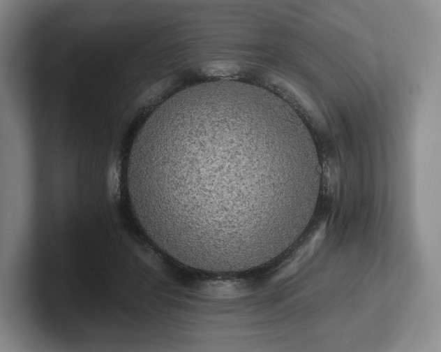 X0000101950404200807251138