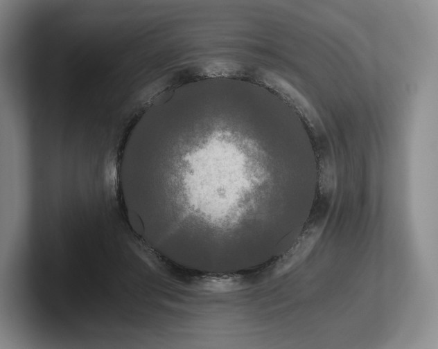 X0000101950405200807251138