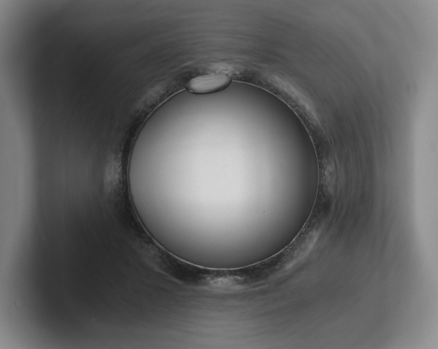 X0000101950407200807251138