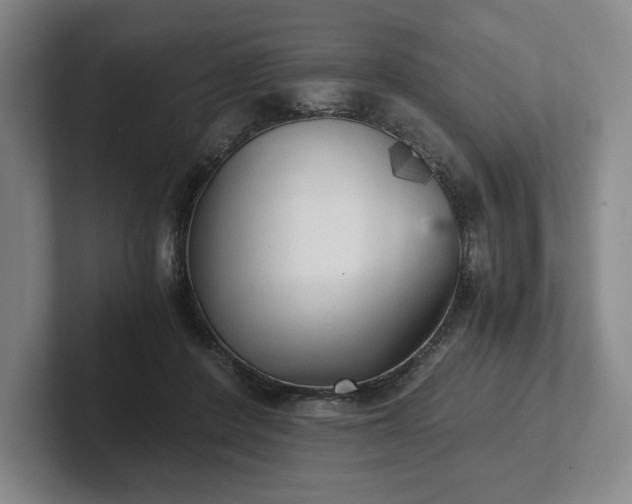 X0000101950408200807251138