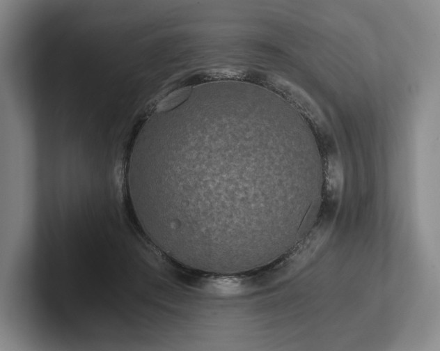 X0000101950409200807251138