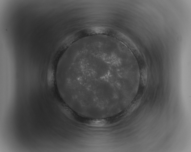 X0000101950410200807251138