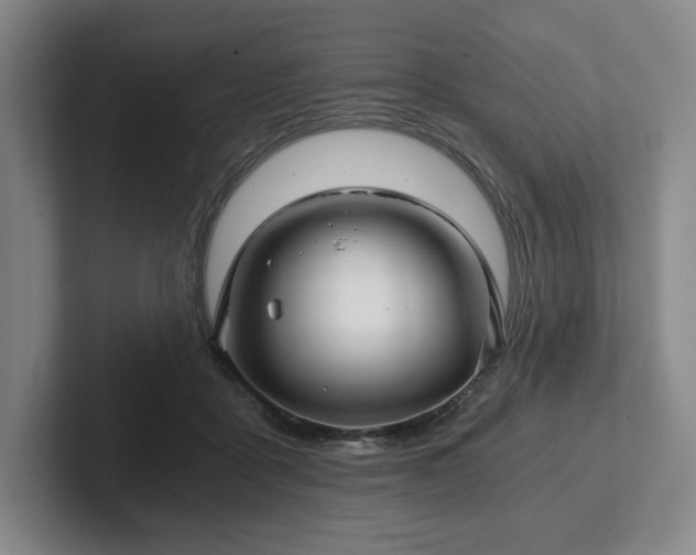 X0000101950411200807251138