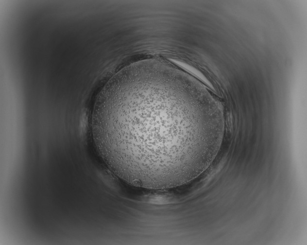 X0000101950412200807251138