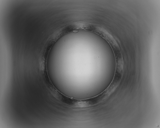 X0000101950413200807251138