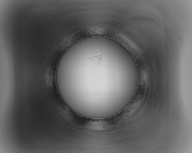 X0000101950414200807251138