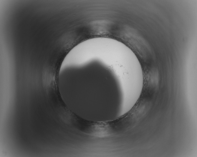 X0000101950415200807251138