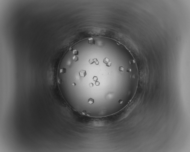 X0000101950416200807251138