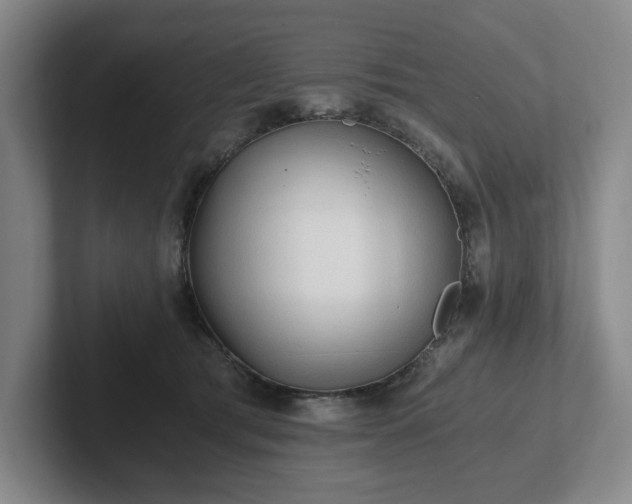 X0000101950417200807251138