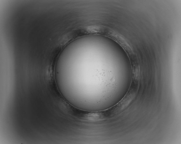 X0000101950418200807251138