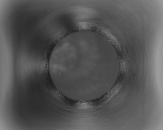 X0000101950419200807251138