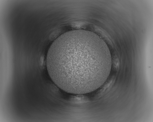 X0000101950420200807251138