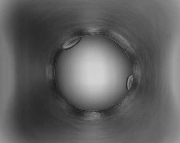 X0000101950421200807251138