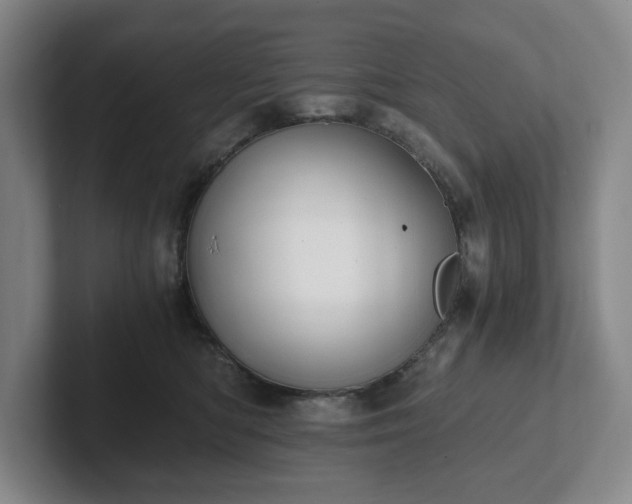 X0000101950422200807251138