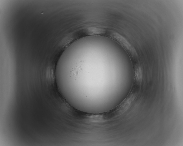 X0000101950426200807251138