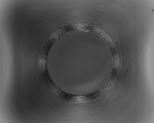 X0000101950427200807251138