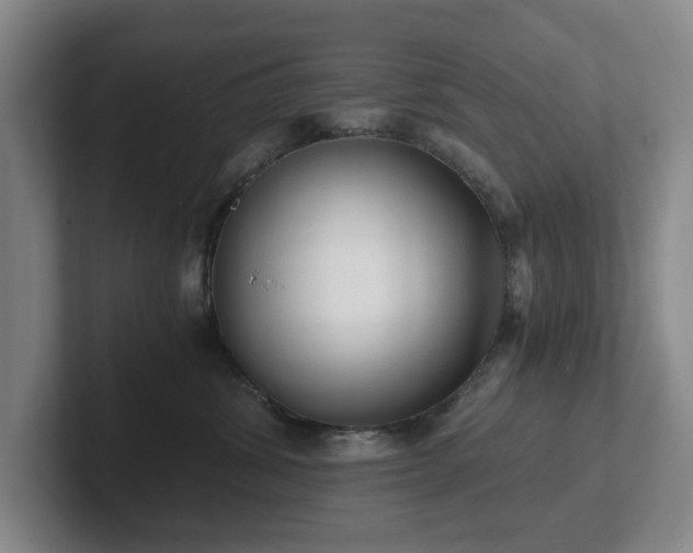 X0000101950428200807251138