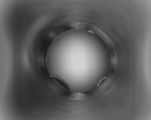 X0000101950429200807251138