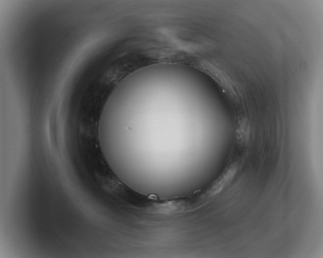 X0000101950430200807251138