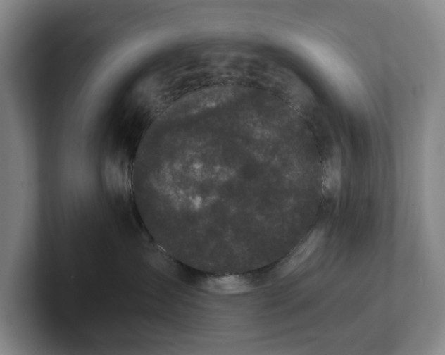 X0000101950431200807251138