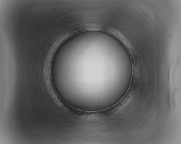 X0000101950433200807251137