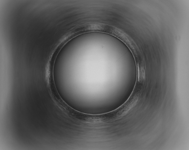 X0000101950435200807251138