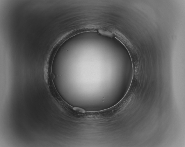 X0000101950436200807251138