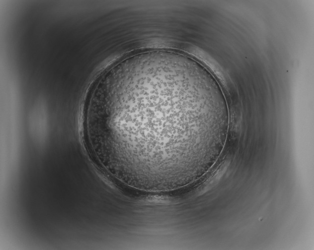 X0000101950437200807251138