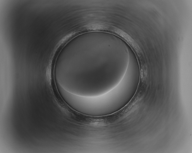 X0000101950438200807251138