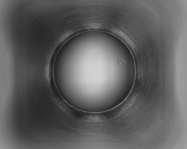 X0000101950439200807251138