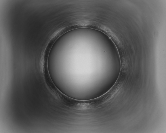 X0000101950440200807251138