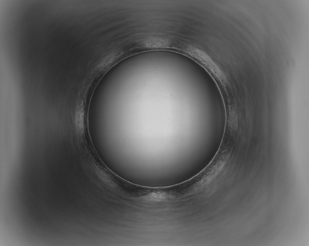 X0000101950441200807251138